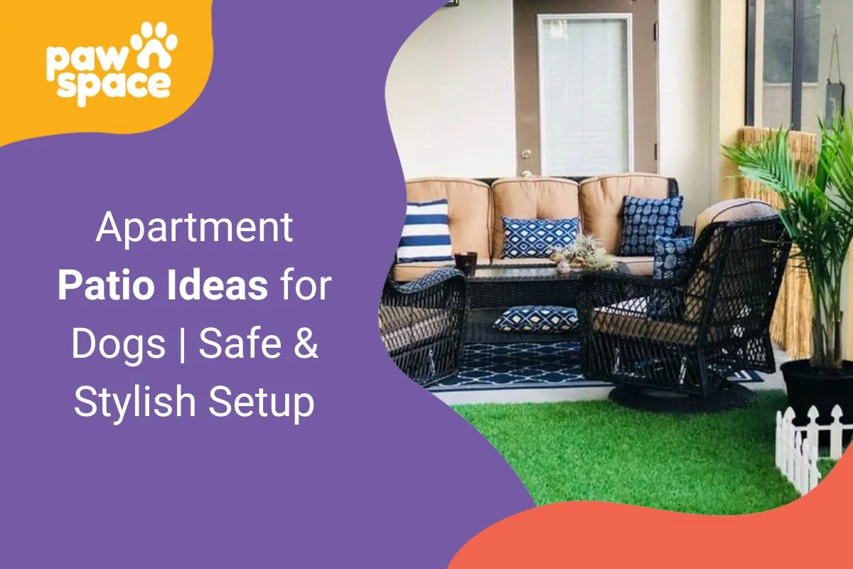 Apartment Patio Ideas for Dogs