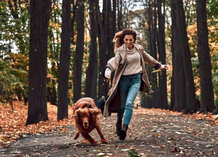Dog Walking