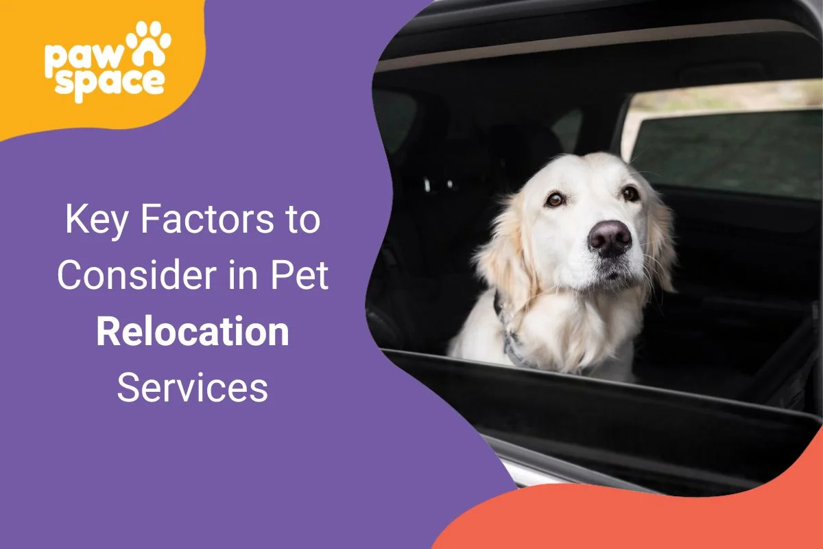 Pet Relocation Services