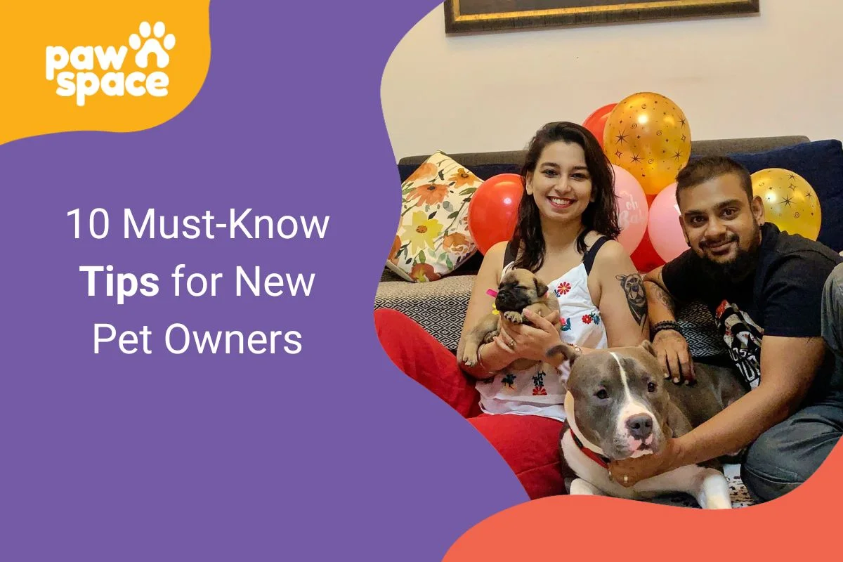 Tips for New Pet Owners