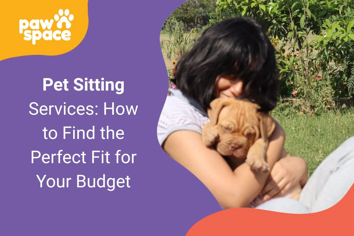 Pet Sitting Services