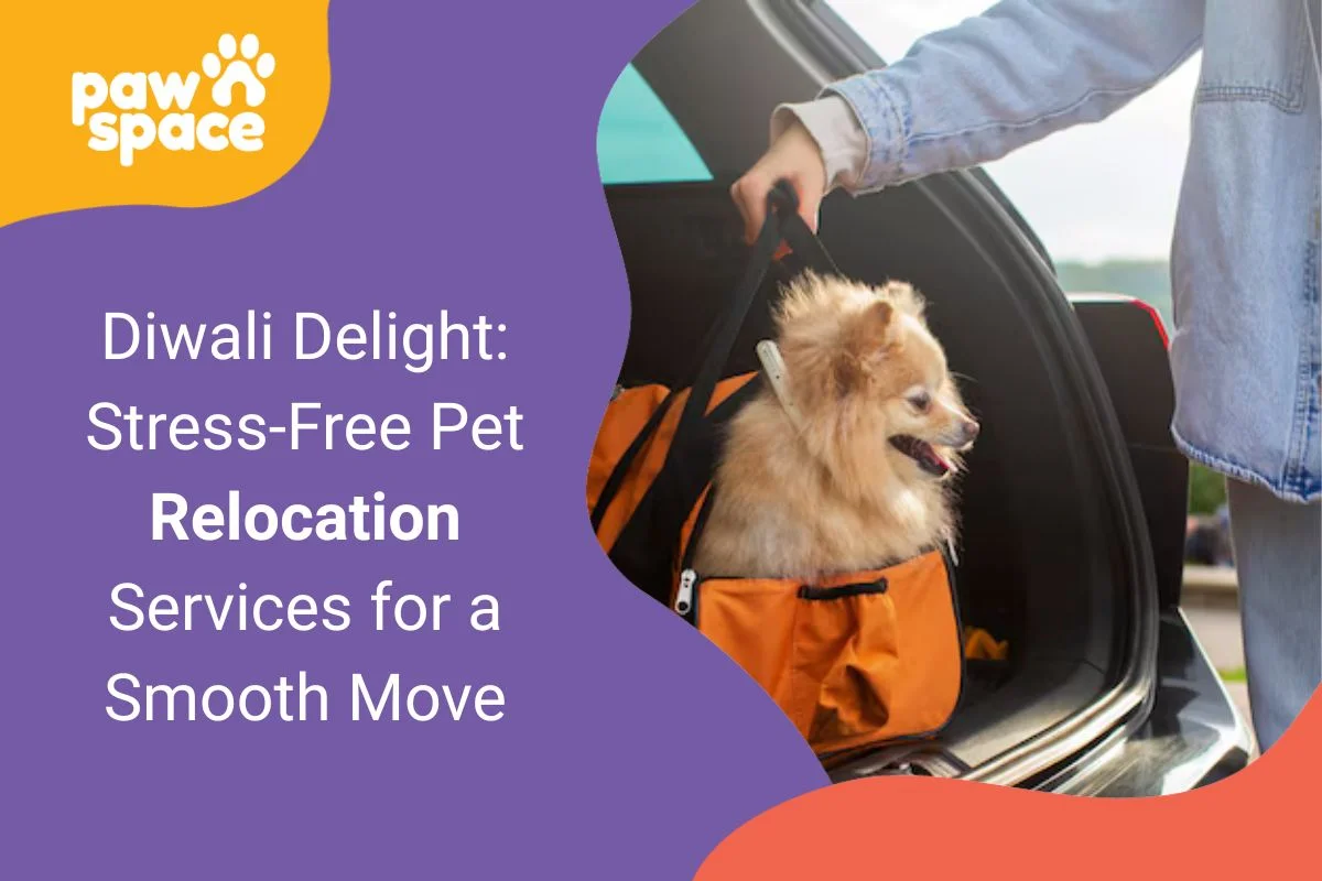 Pet Relocation Services
