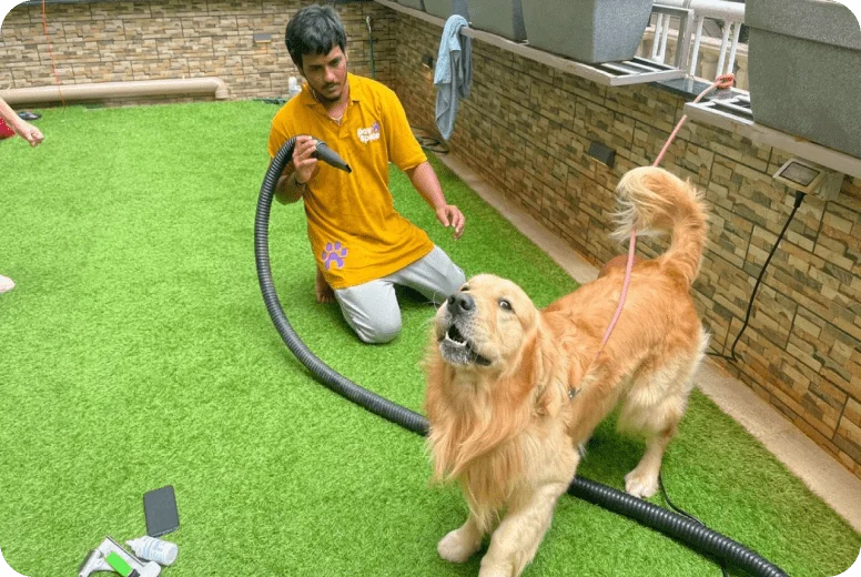 Groomer 4