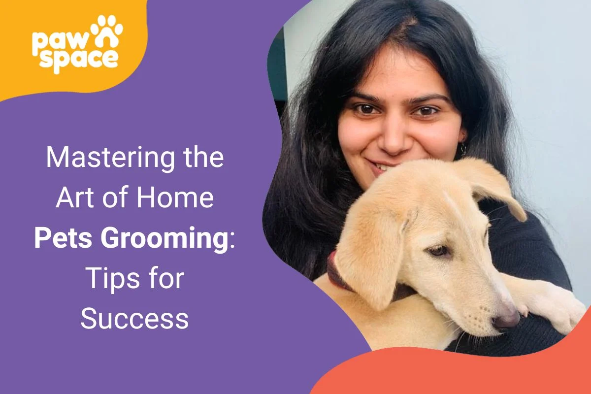 tips for grooming pet at home
