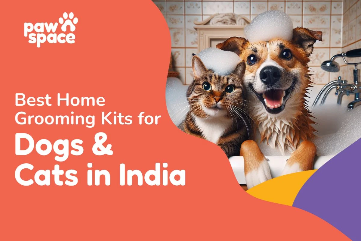 Best Home Grooming Kits for Dogs and Cats in India