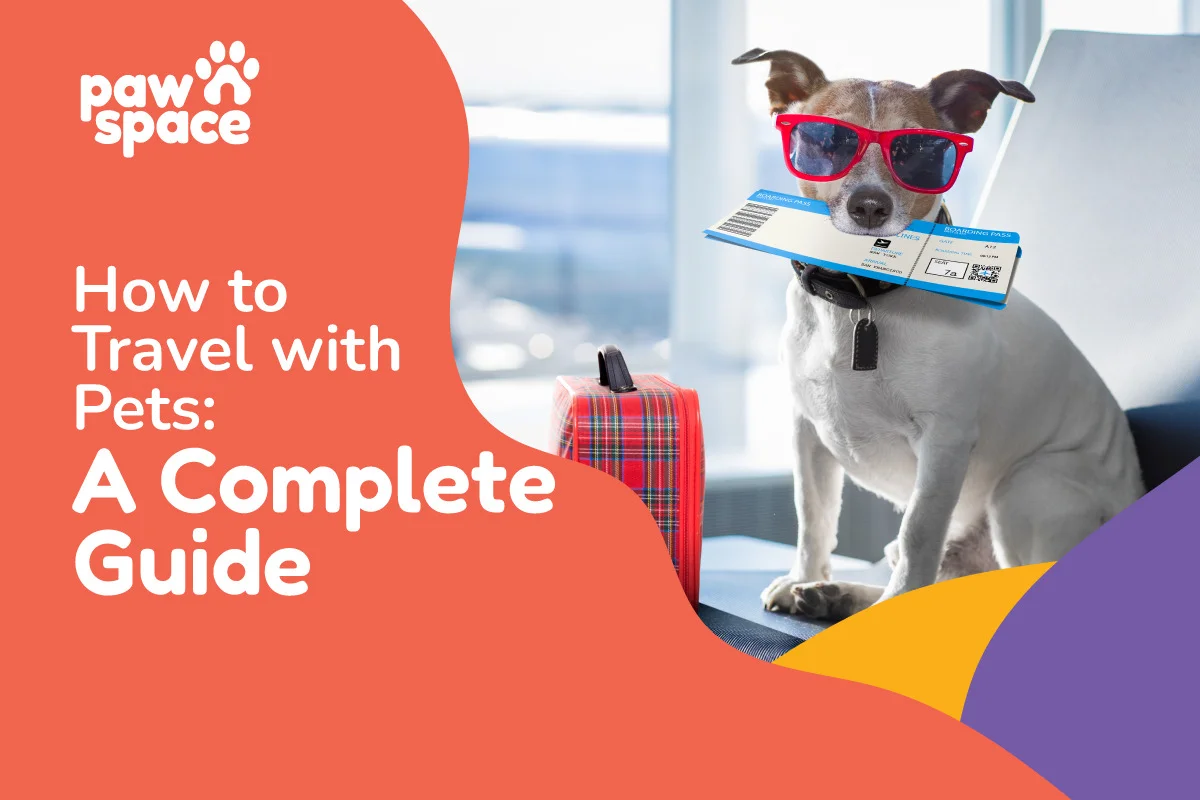 How to Travel with Pets