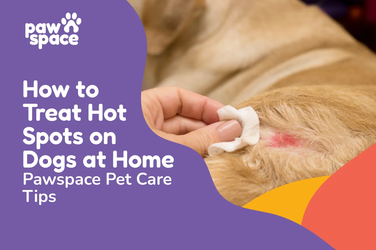 Hot spots on dogs