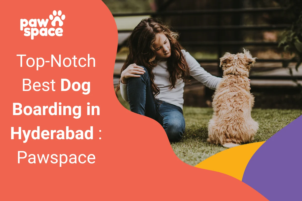 Best Dog Boarding in Hyderabad