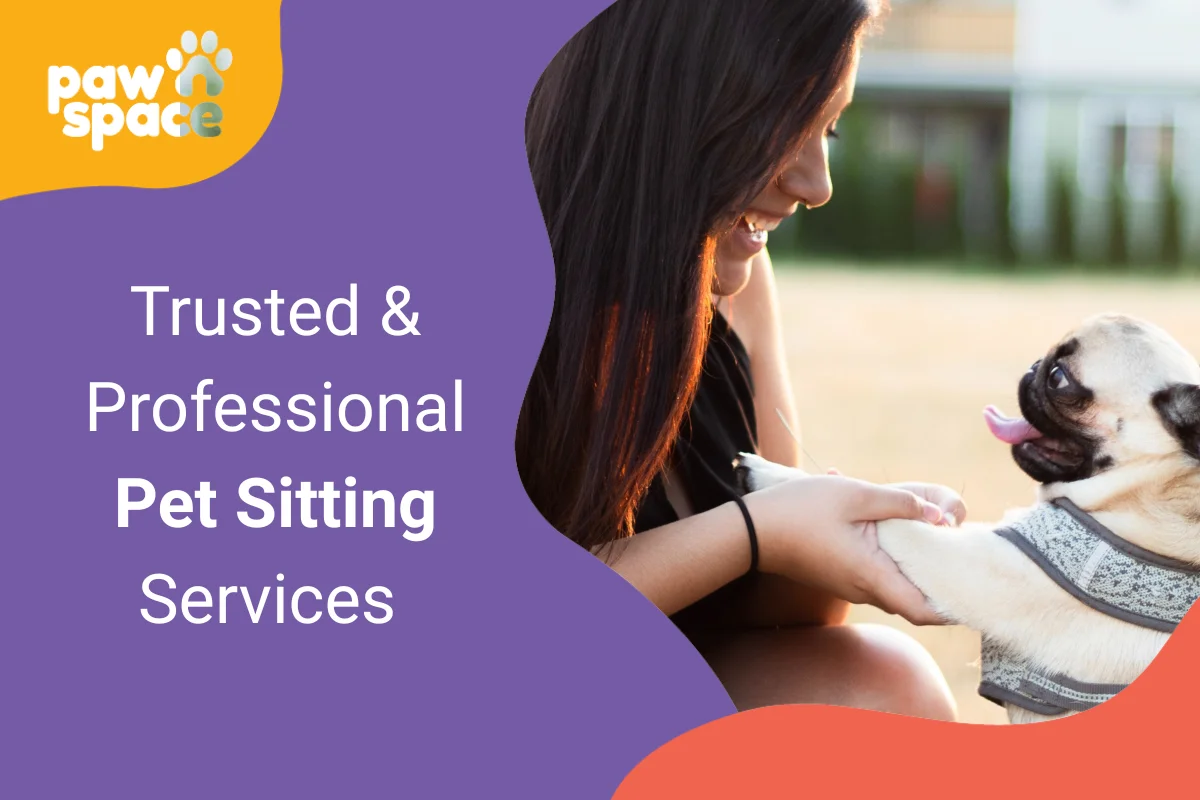 Pet Sitting Services