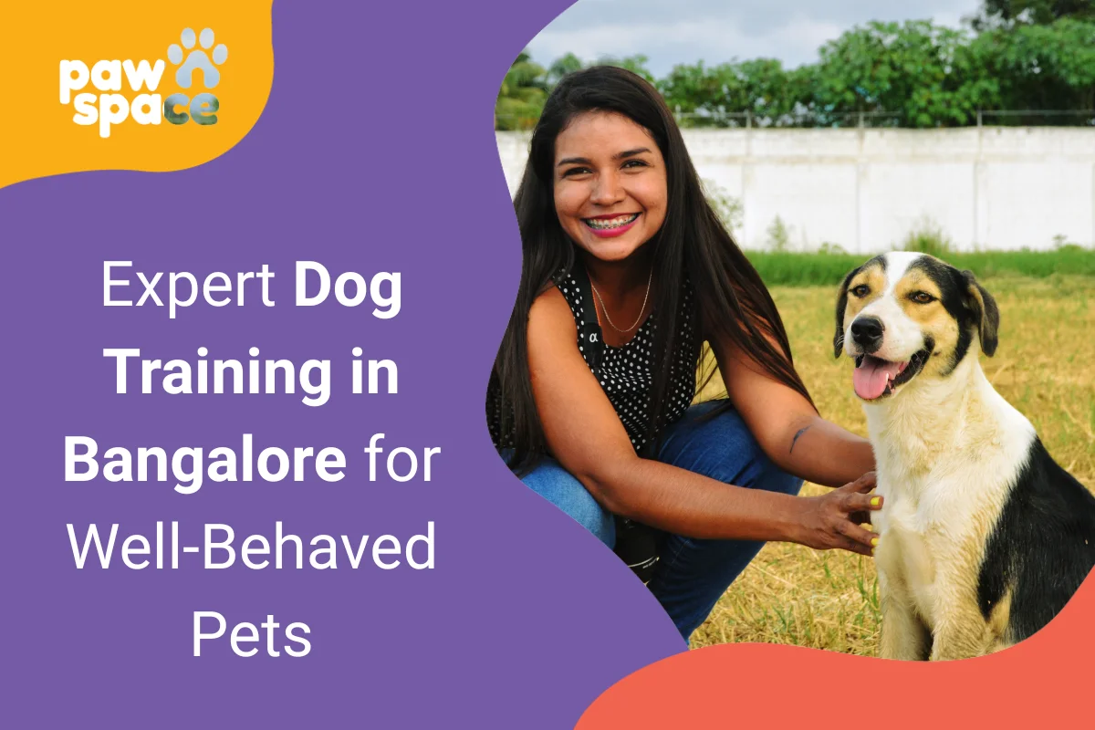 Dog Training in Bangalore