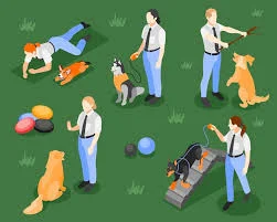 Dog Trainer Mistakes