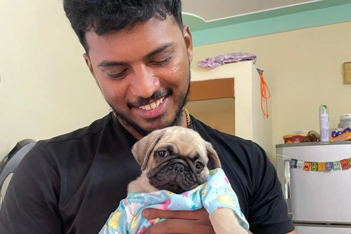 pug