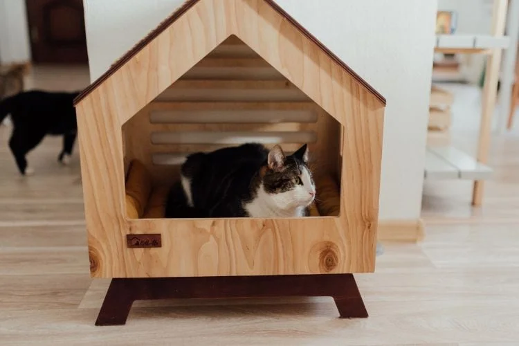 Pet Boarding Services