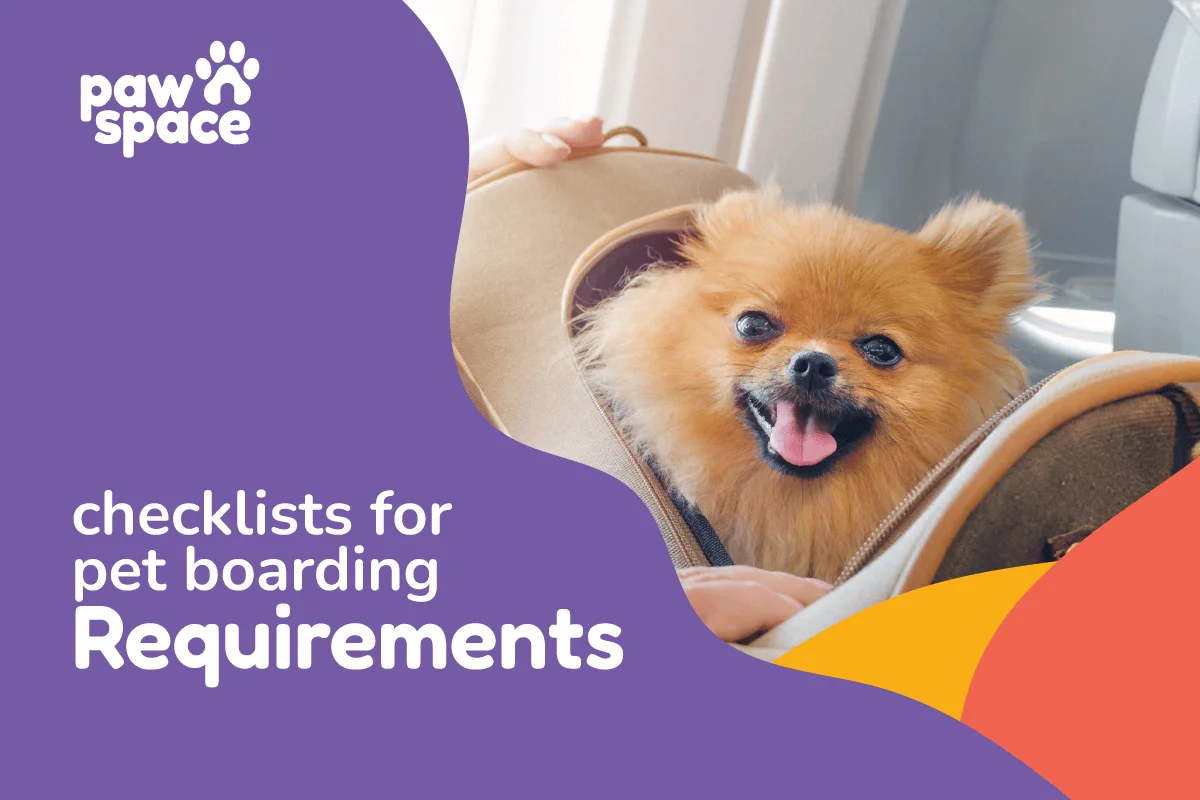 Pet Boarding Requirements in bangalore